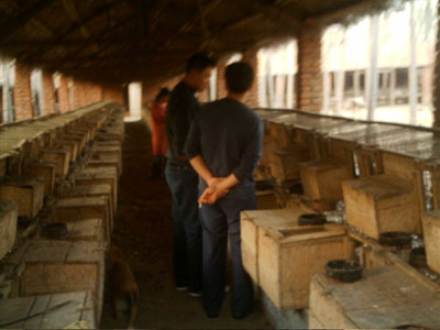 ����ֳ��.